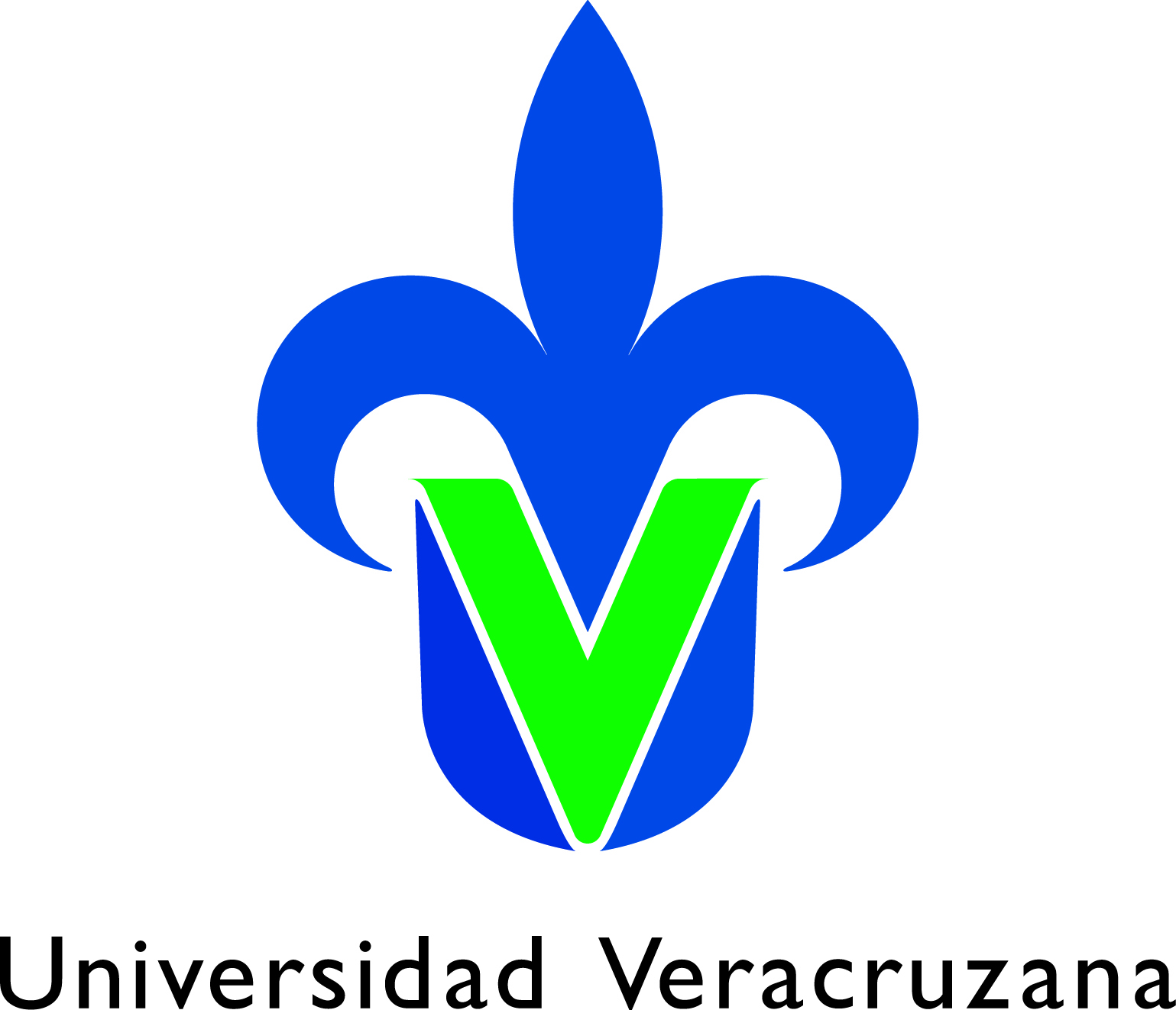 Cliente de QHSE México